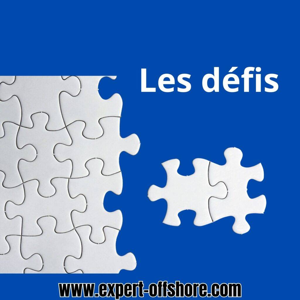 La gestion des différences culturelles et linguistiques : Une communication claire et régulière est essentielle. Elle garantit le bon déroulement de l'externalisation.
La sécurité des données : Il est crucial de mettre en place des protocoles de cybersécurité. Elle est efficace étant donné que la protection des informations est sensibles pour l'entreprise.
Le suivi des performances : Un reporting régulier permet de mesurer l'efficacité du prestataire et d'ajuster la stratégie si nécessaire.